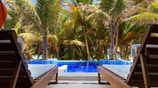 Swim up room Flamingo Cancun Resort Hotel