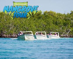 excursiones cancun Jungle Tour Barracuda