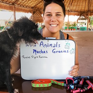 free animals cancun Isla Animals