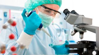 analisis adn cancun Laboratorio de Biología Molecular