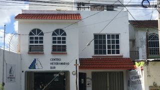 veterinarios cancun Centro Veterinario Sur