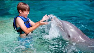 Interactuando con delfines en Cancun