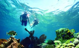 toboganes gigantes en cancun Aquatic Funday Park