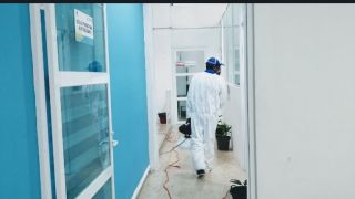 empresas fumigacion cucarachas cancun Ecomoderna