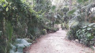 residencias comunitarias cancun Selva Maya Comunidad Ecológica
