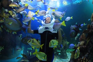 sitios para visitar con ninos gratis en cancun Interactive Aquarium Cancún