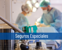 especialistas asesor negocios cancun Support Consultores