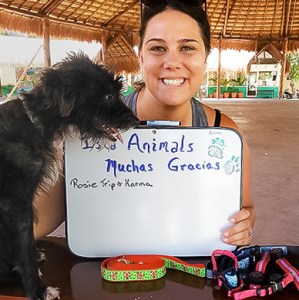 places to adopt cats in cancun Isla Animals