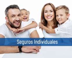 especialistas asesor negocios cancun Support Consultores