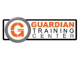 empresas ciberseguridad cancun GUARDIAN GLOBAL SECURITY GROUP