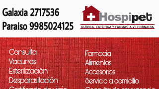 especialistas rabia cancun Hospipet