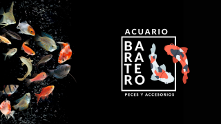 tiendas peces cancun El Acuario Cancún