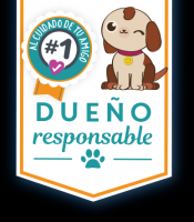 lugares de adopcion de perros en cancun Amar es cuidar | Dolphin Discovery