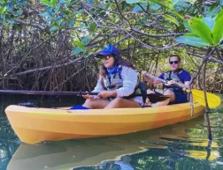 canoeing courses cancun Conexión Nativa Laguna Nichupte