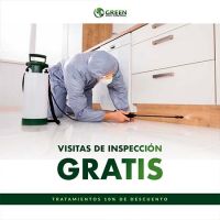 empresas control plagas cancun Green Group Control